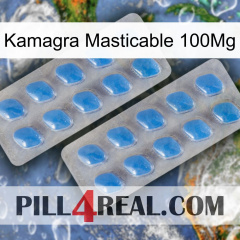 Kamagra Chewable 100Mg 23